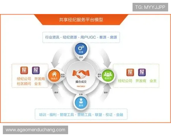 dg视讯合作平台多渠道合作实现共赢发展方案详解