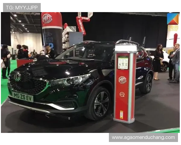 mg真人官网最新平台网址全面上线，安全稳定充值体验畅享不停