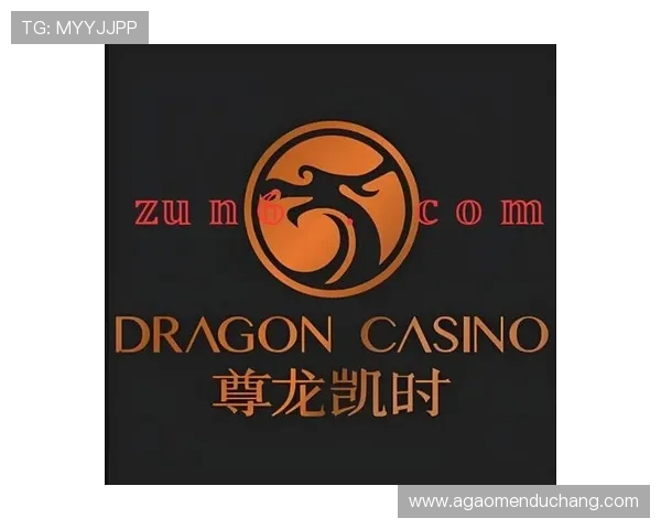 z6com尊龙凯时百家乐多样化游戏体验满足不同玩家的娱乐需求