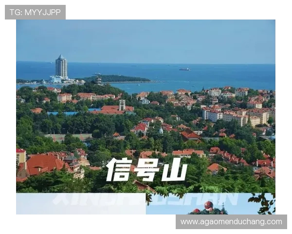 亚星百家乐网站信誉保障,合法合规运营赢得玩家广泛信赖