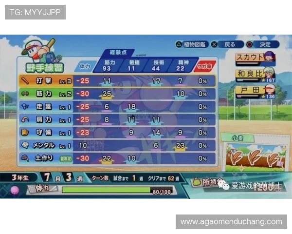 亚博体育百家乐官网用户评价,真实玩家分享平台使用心得与游戏体验